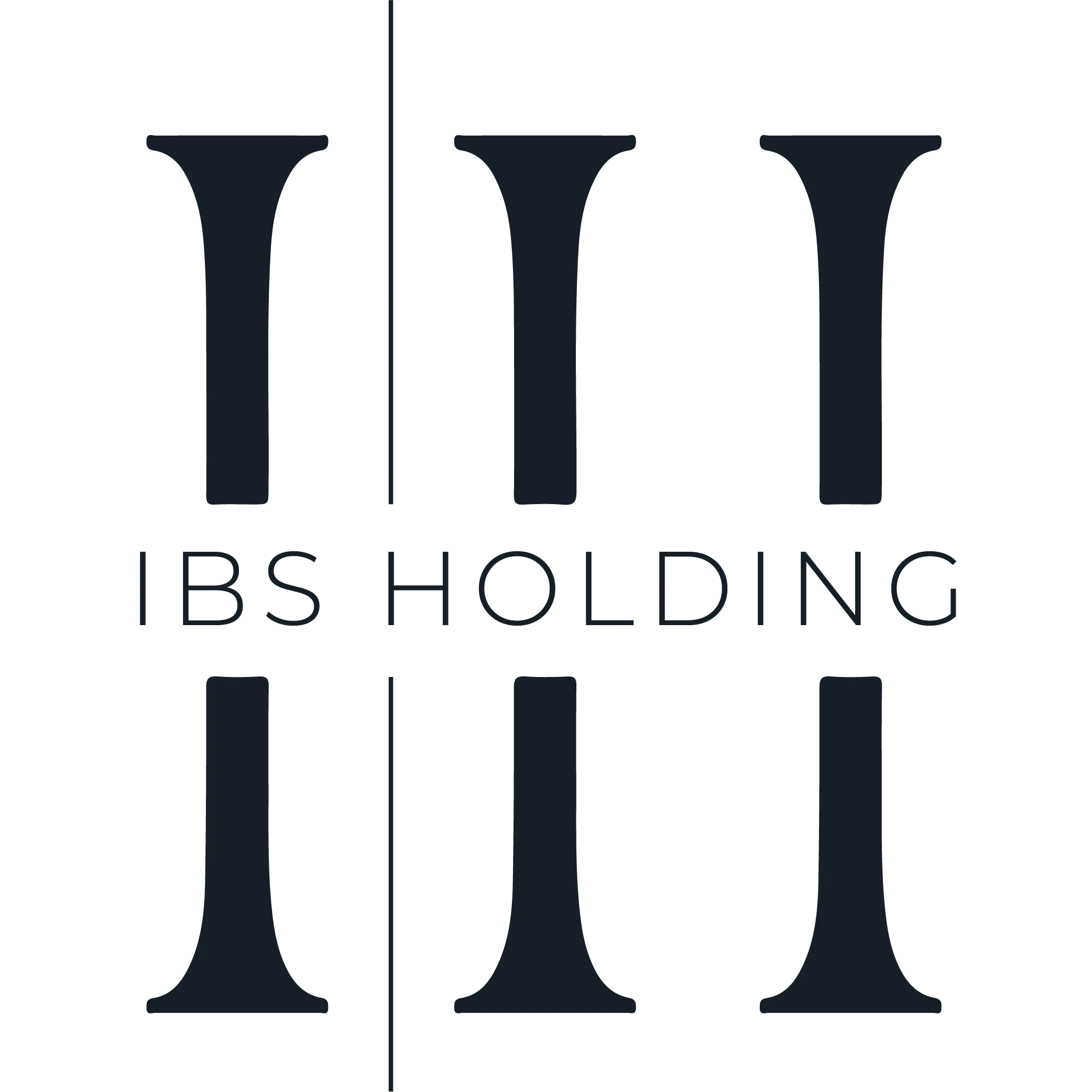 LOGO IBS HOLDING TRANSPARENT BLEU NUIT